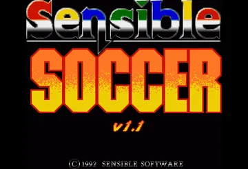 Sensible Soccer_Disk2 screen shot title